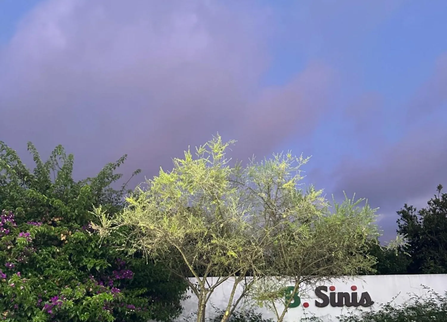 Bed and Breakfast B. Sinis Cabras